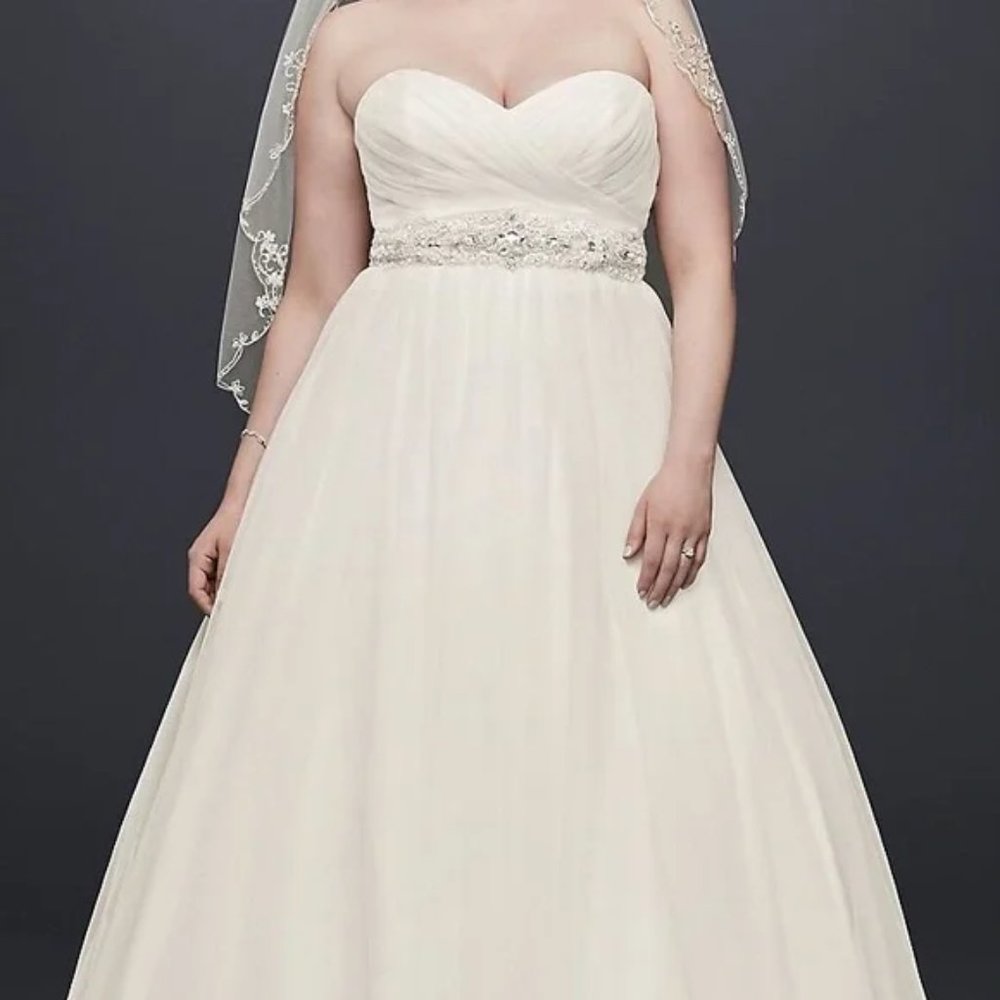 David's Bridal NWT Strapless Wedding Dress Ivory Style Sz 16W 9WG3802 with Veil!